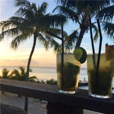 港澳宝典下载手机版